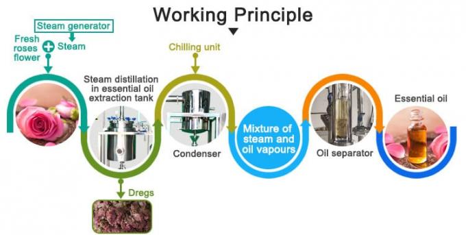 essential oil extraction working principle