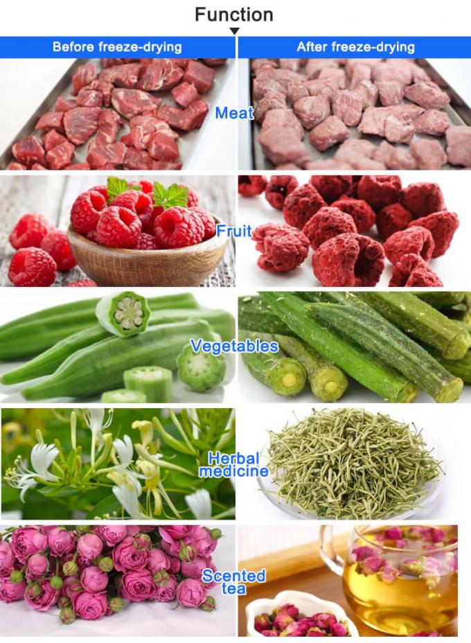 food after freeze drying