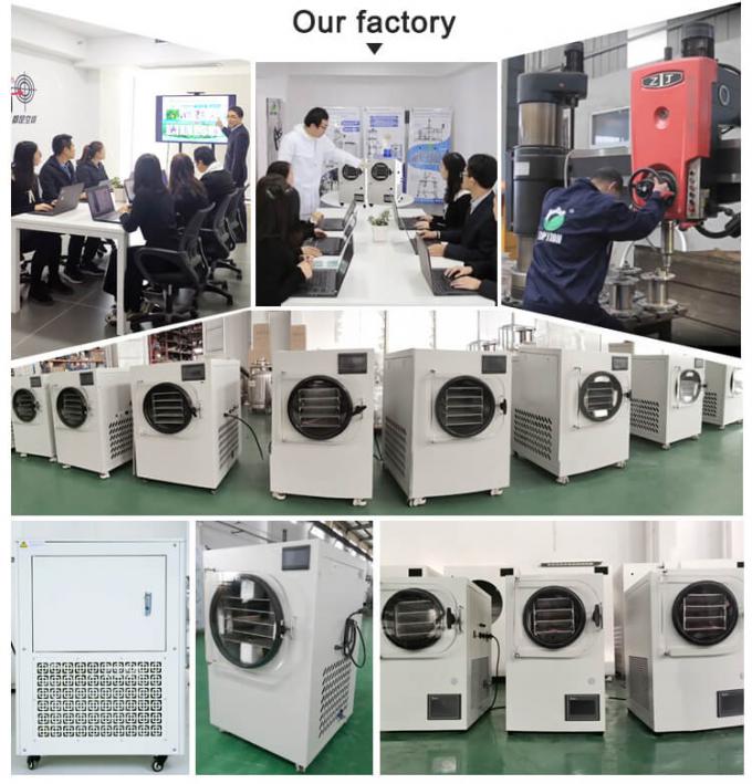 small freeze dryer supplier
