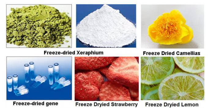 freeze drying samples