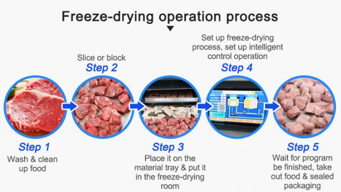 meet freeze drying process