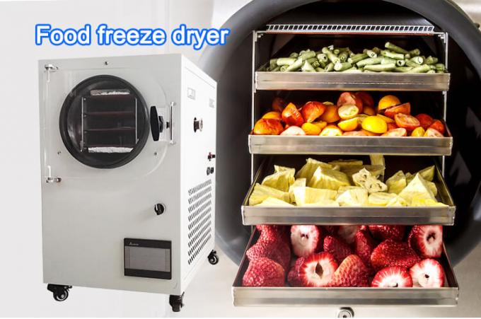 food freeze dryer