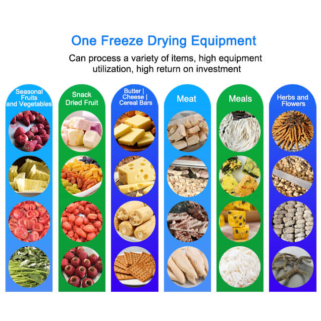 Vegetables Food Vacuum Freeze Dryer SS Freeze Drying Equipment 1