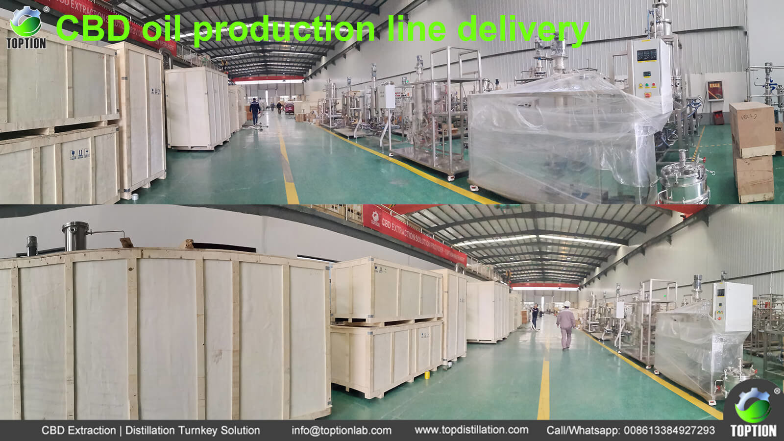 latest company news about CBD prodution line delivery successfully  0