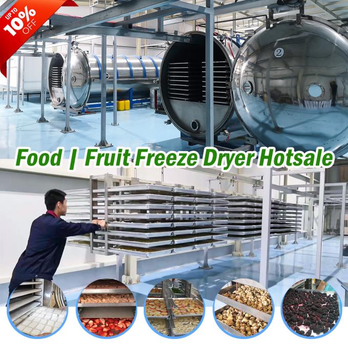 vacuum freeze dryer