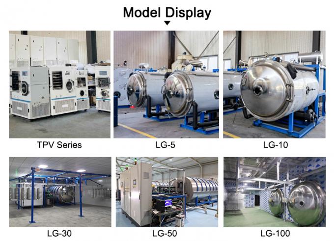 vacuum freeze dryer