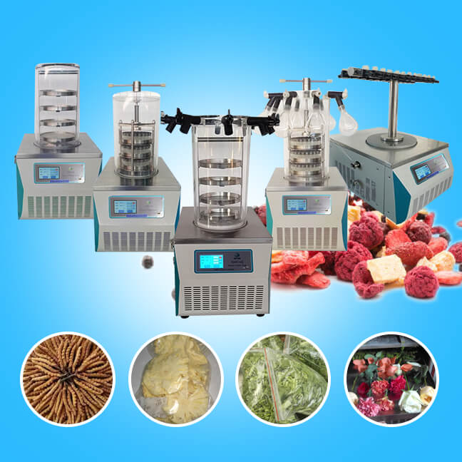 TOPT-18 The Ideal Laboratory Freeze Dryer for Long-Term Preservation