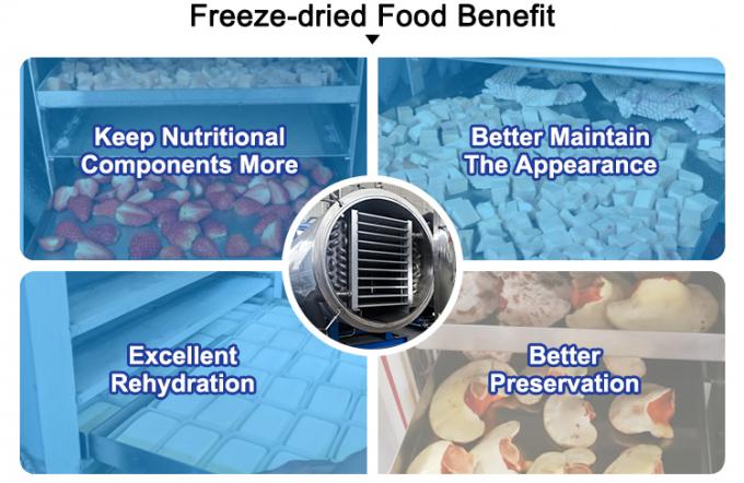 vacuum freeze dryer