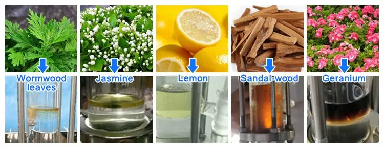 95% Extraction Efficiency Essential Oil Plant Extraction Equipment with TOPTION PLC Control