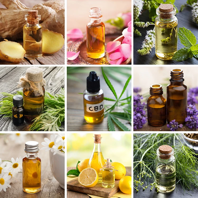 95% Extraction Efficiency Essential Oil Plant Extraction Equipment with TOPTION PLC Control