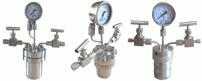 hydrothermal autoclave reactor with teflon chamber