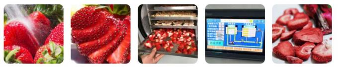 お気に入りの 食品 を テーブル 上 の 冷凍 乾燥機 で 保存 する