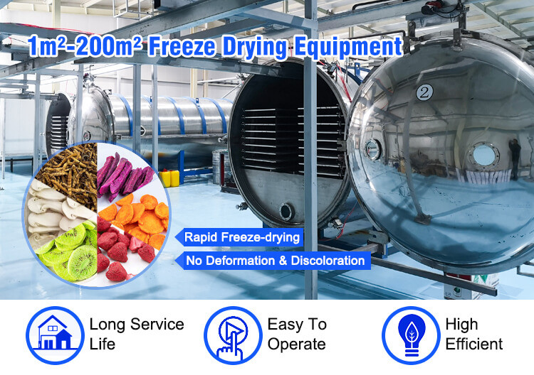 freeze dryer