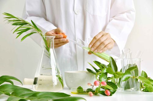 Latest company news about Enter the Magic World of Essential Oil Extraction