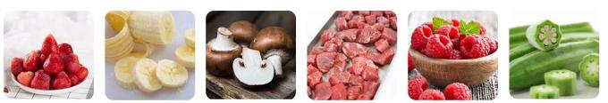 お気に入りの 食品 を テーブル 上 の 冷凍 乾燥機 で 保存 する