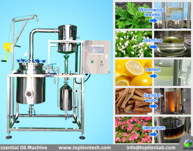 latest company news about Enter the Magic World of Essential Oil Extraction 2