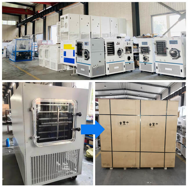 TPV-20G/30G/50G/100G Freeze Dryer for Automation and Prevention of Sample Pollution