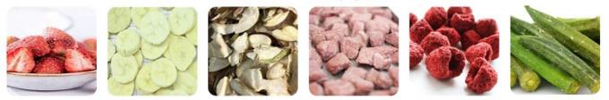 お気に入りの 食品 を テーブル 上 の 冷凍 乾燥機 で 保存 する