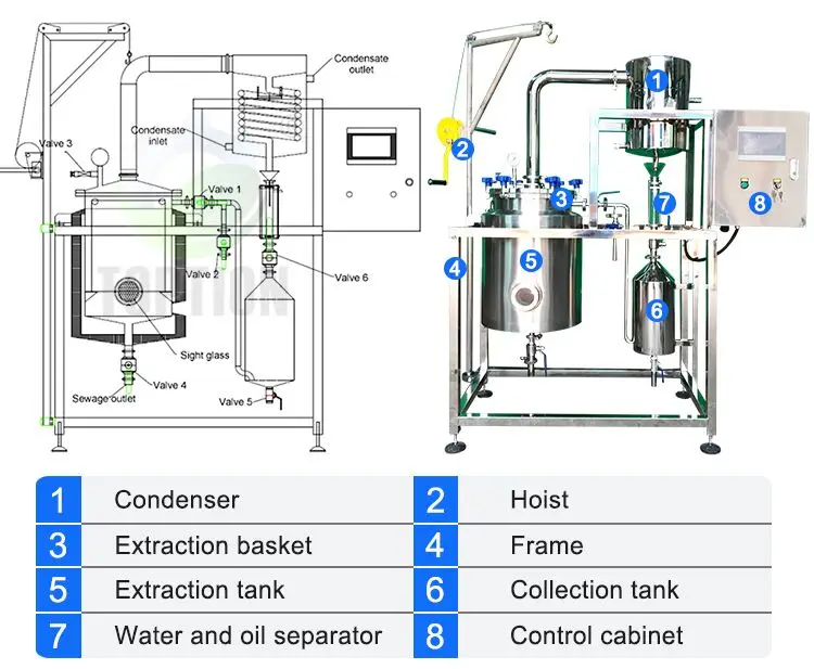 95% Extraction Efficiency Essential Oil Plant Extraction Equipment with TOPTION PLC Control