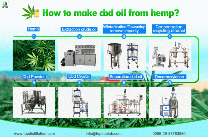 cbd oil extraction
